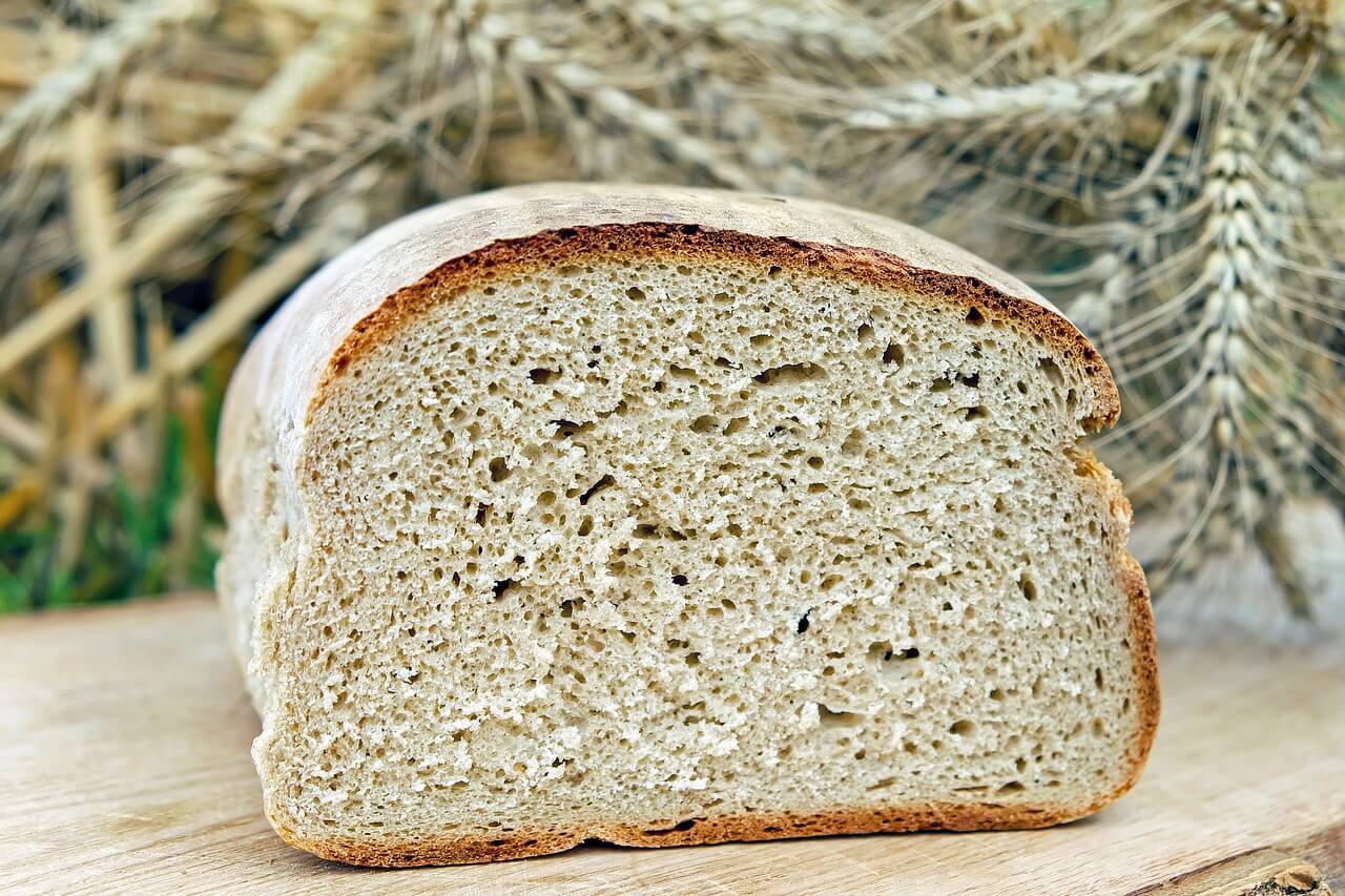Kaninchen dürfen kein Brot essen