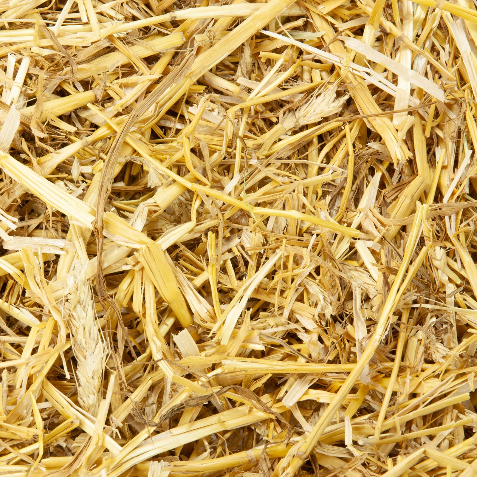 Bio-Stroh für Kaninchen und Nager