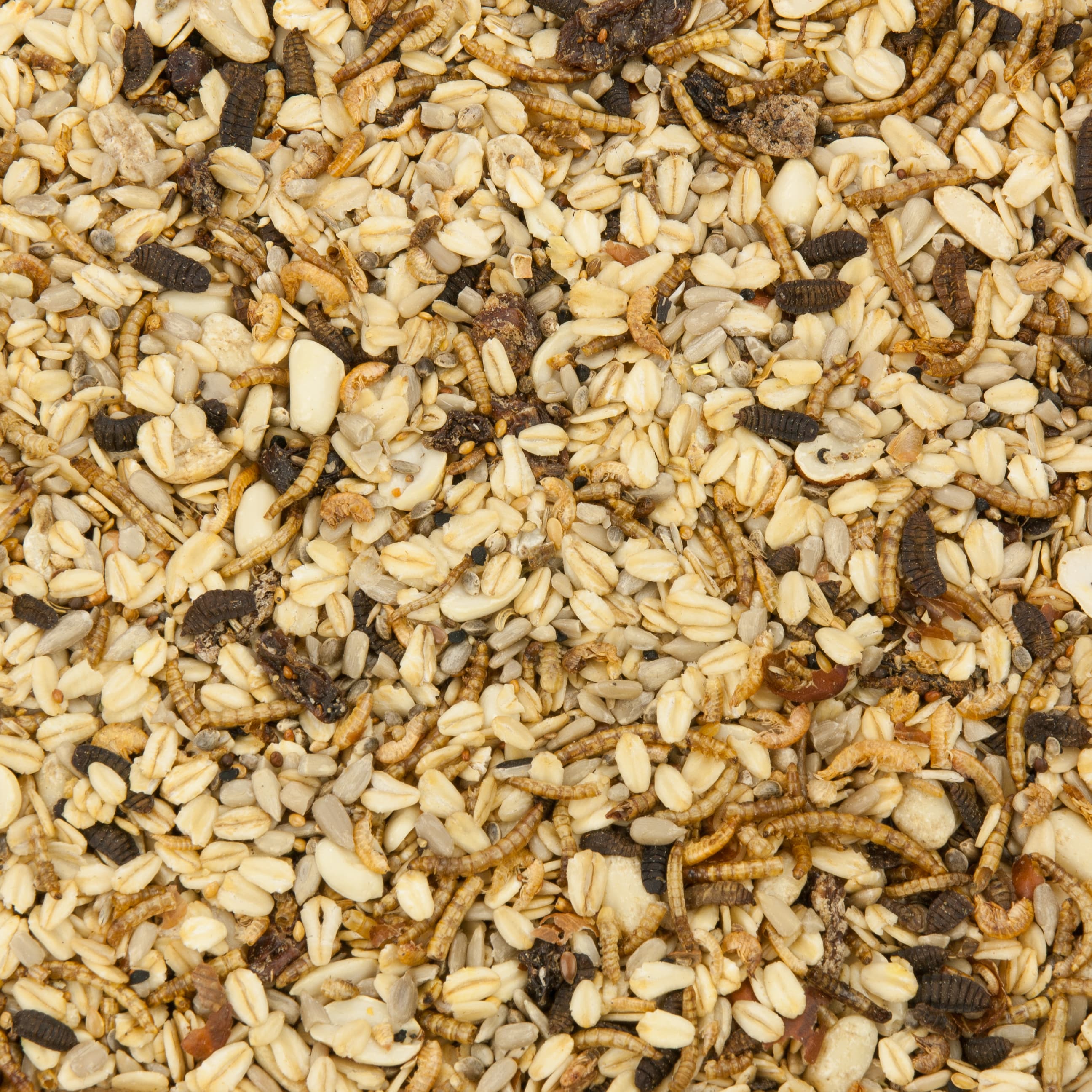 Schlemmer-Picknick, ganzjähriges Spitzen-Vogelfutter mit Insekten