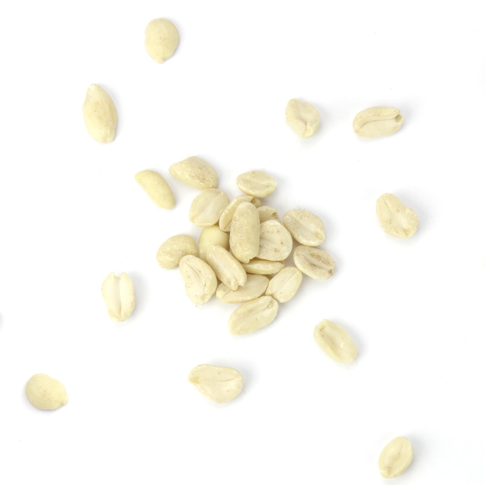 Mr-Crumble-Vogelfutter-Erdnuesse-blanchiert-halbiert-k Wildvogelfutter Erdnuesse blanchiert halbiert