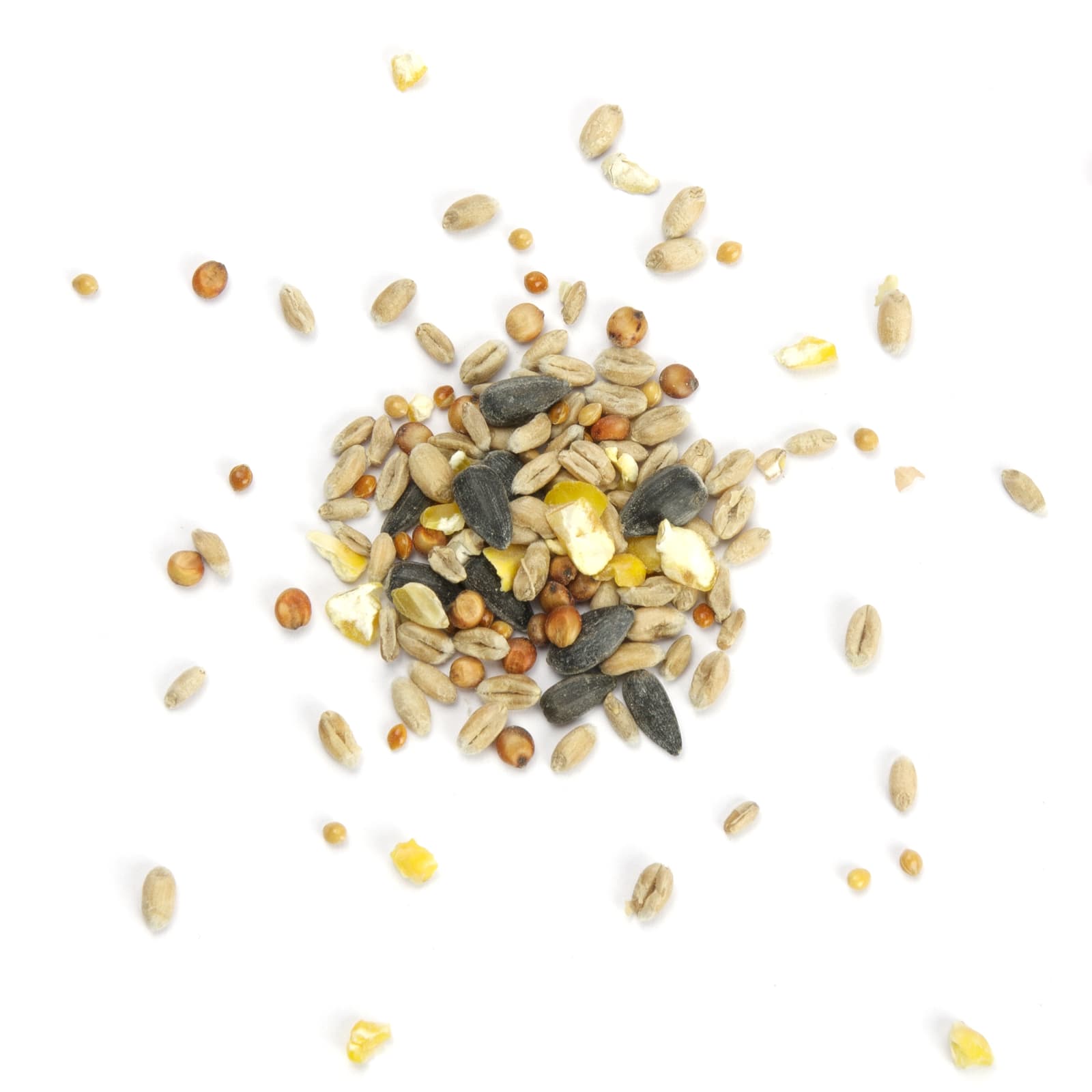 Mr-Crumble-MCV057-Koerner-Picknick-Wildvogelfutter-Shop-k Wildvogelfutter Koerner Picknick Vogelfutter ganzjaehrig