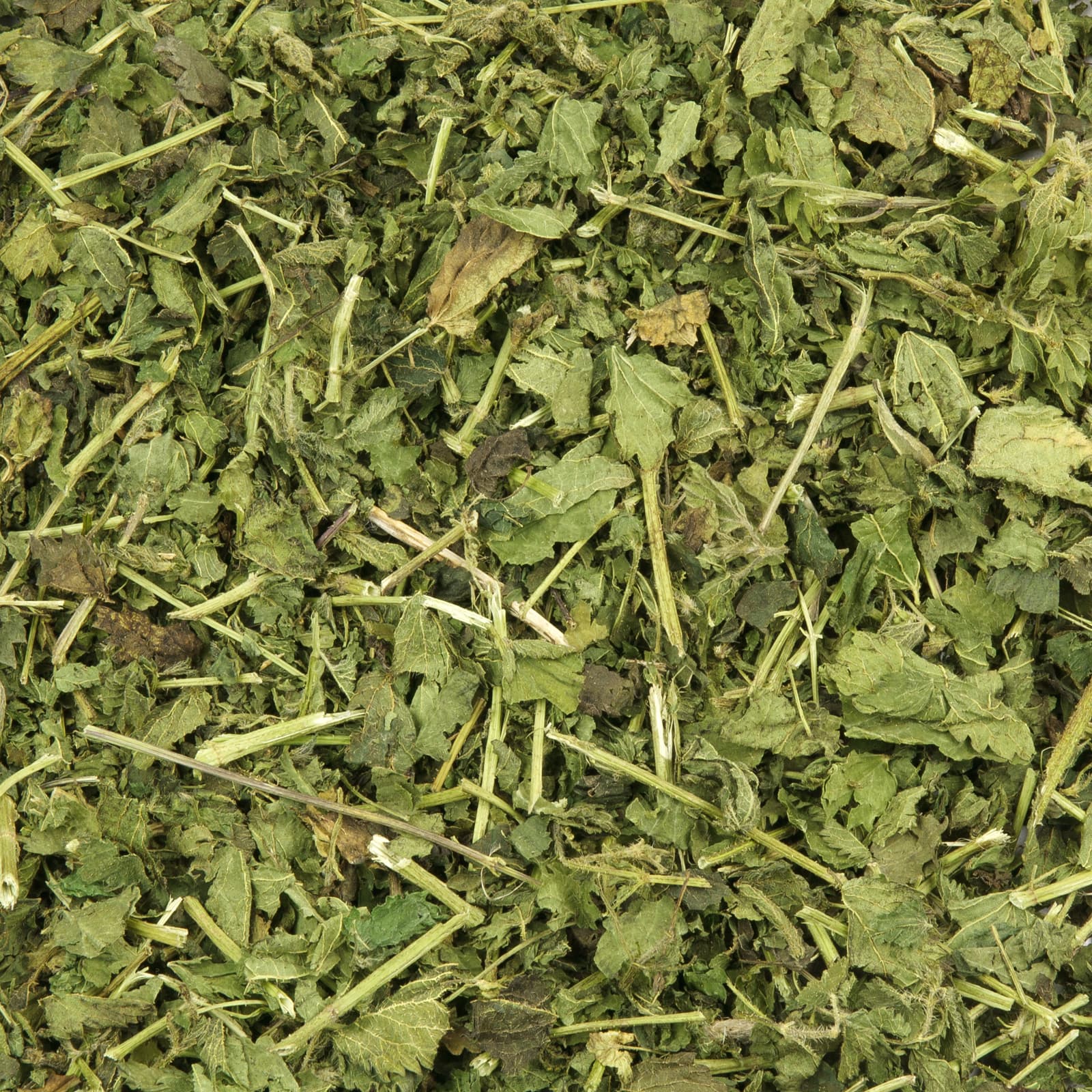 Mr-Crumble-MCN267-Brennnessel-Uebersicht-k Kaninchenfutter Brennnessel-Blaetter Uebersicht