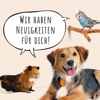 Jetzt zum Newsletter anmelden!