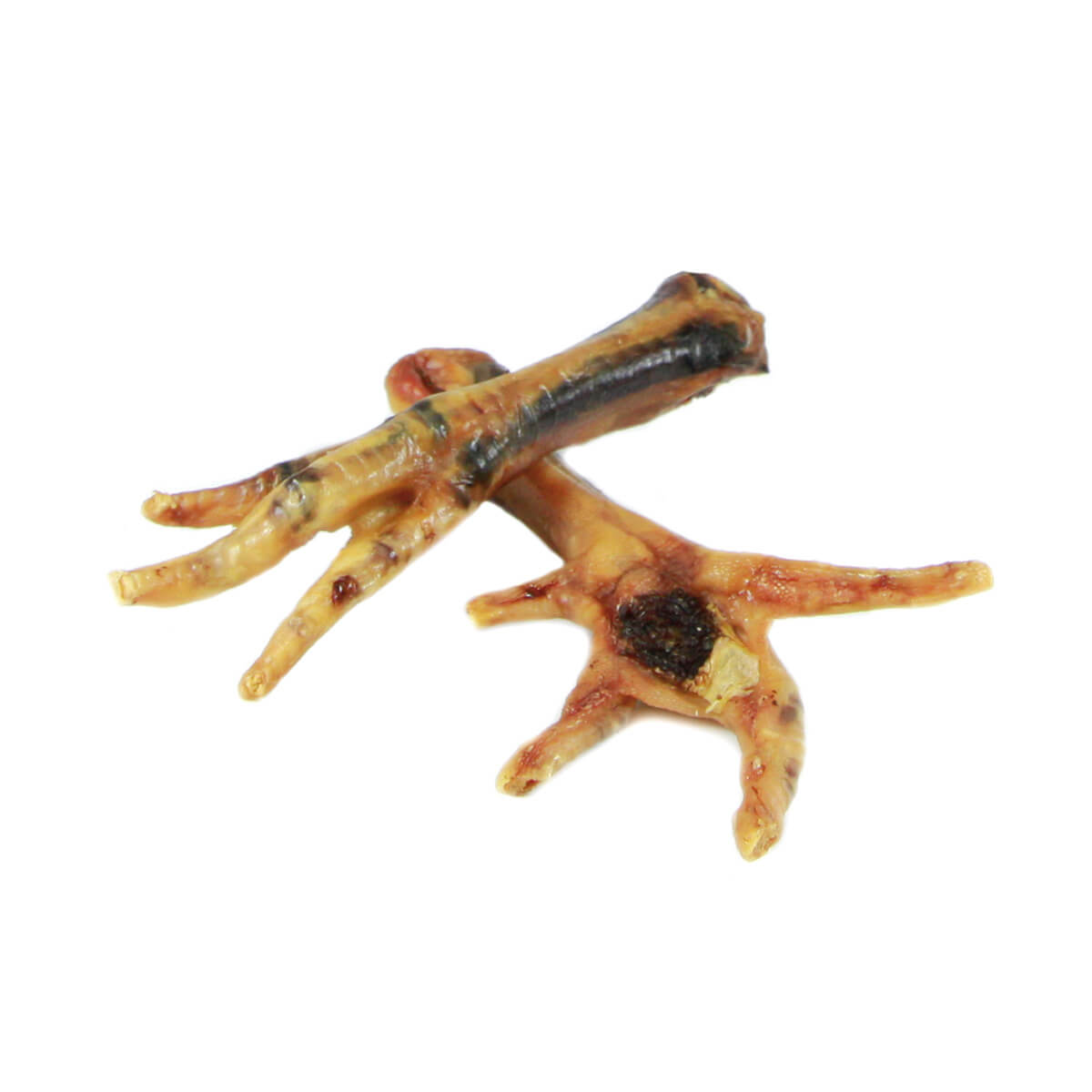 huehnerfuesse-fuer-hunde Hühnerkrallen