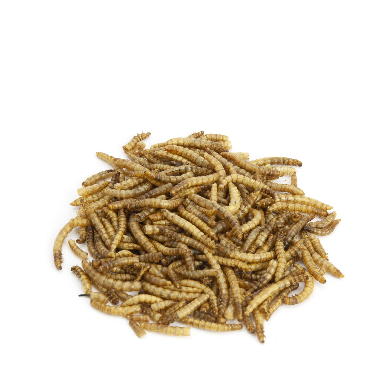 Mr-Crumble-MCN193-Mehlwuermer-getrocknet-k Mr-Crumble-MCN193-Mehlwuermer-getrocknet-k