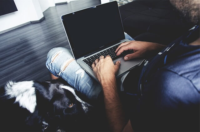 Wenn du im Home-Office arbeiten kannst, ist dein Hund tagsüber nicht alleine. Wenn du im Home-Office arbeiten kannst, ist dein Hund tagsüber nicht alleine.