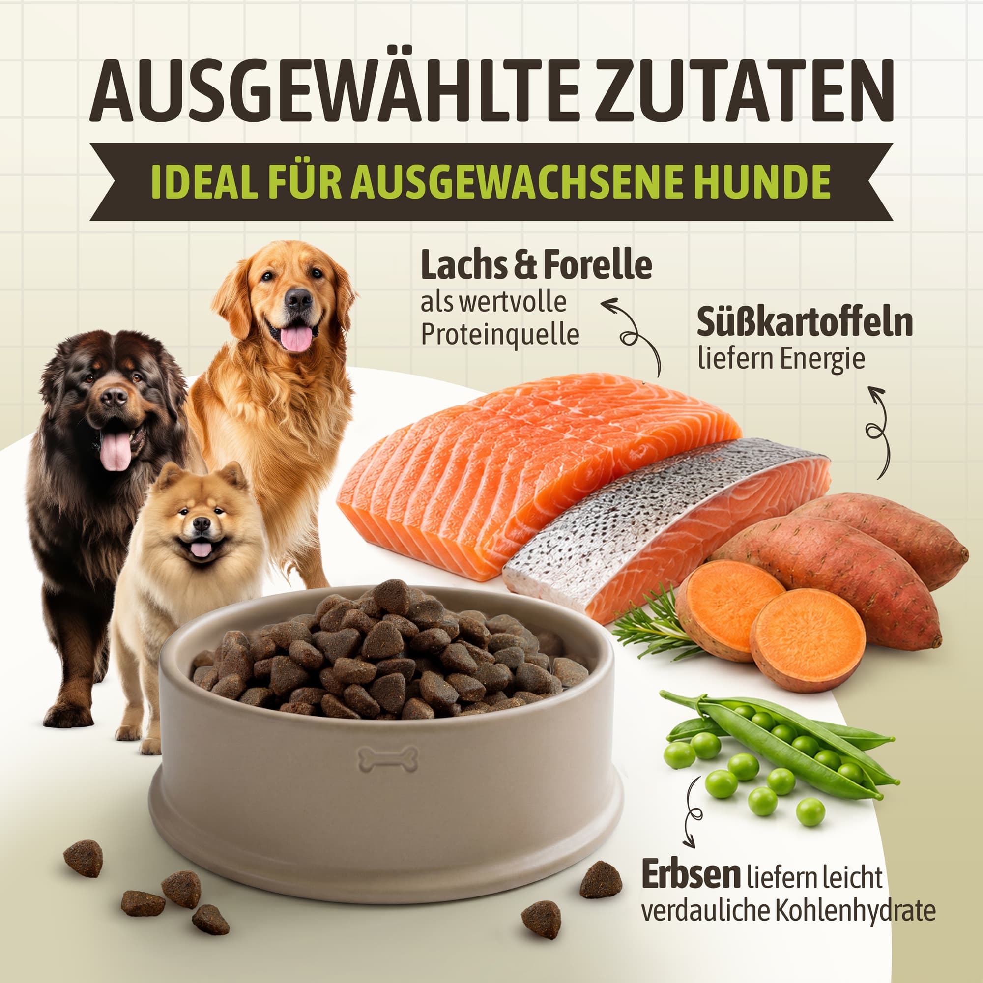 Lachs getreidefrei