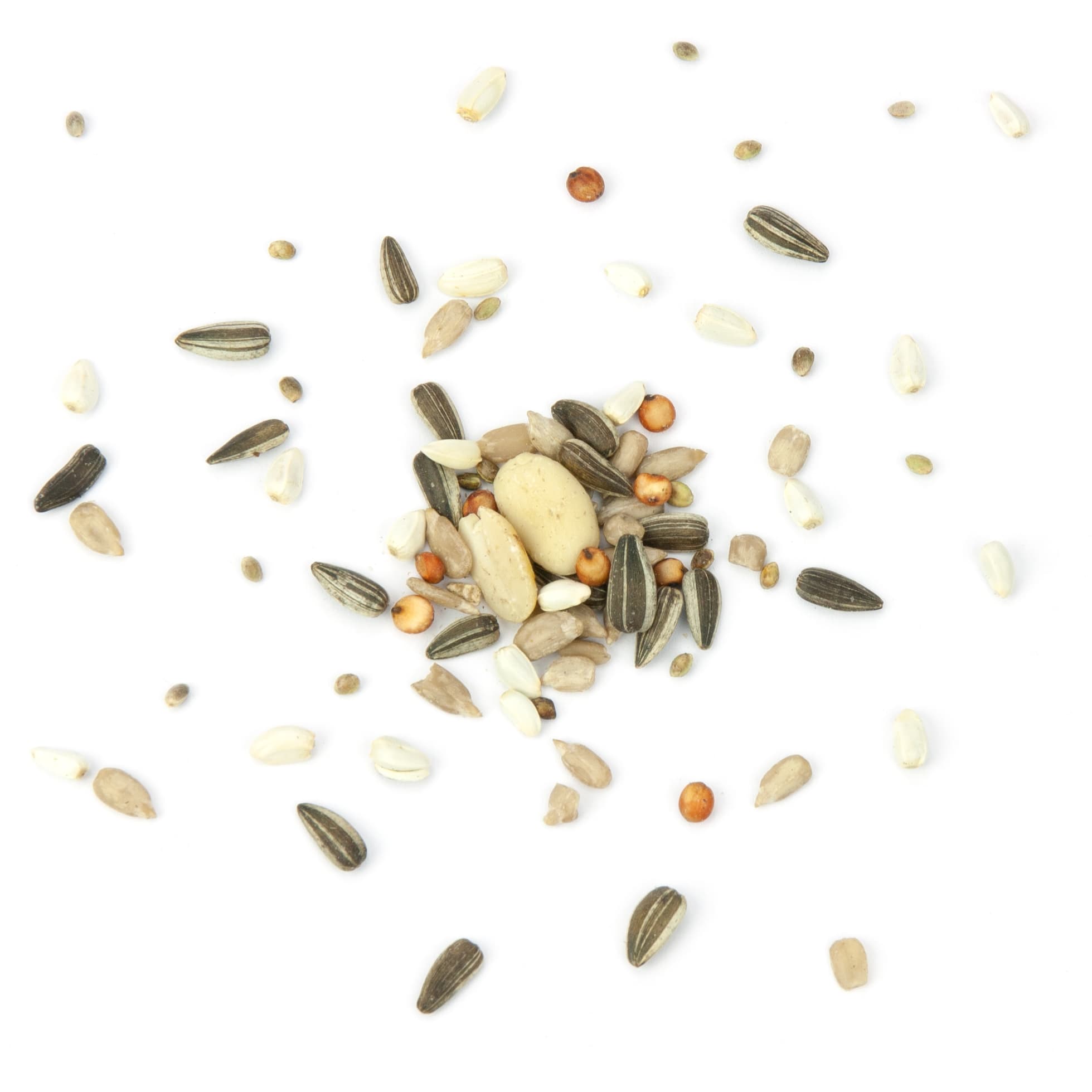 Mr-Crumble-MCV111-Meisen-Picknick-Meisenfutter-k Wildvogelfutter Meisen-Picknick Meisenfutter