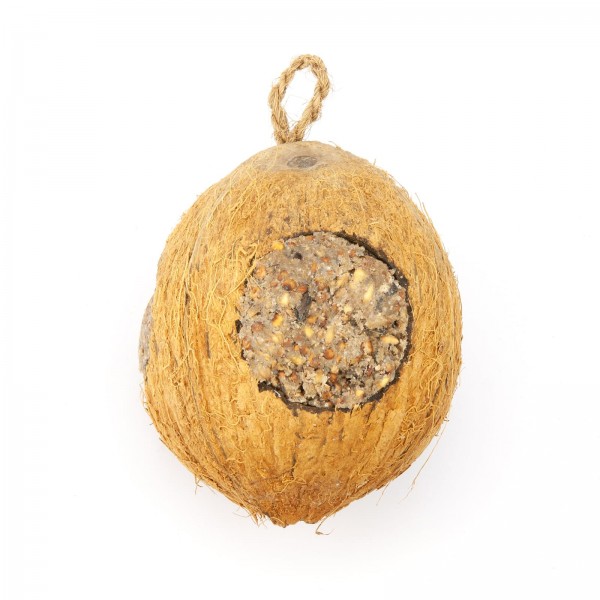 Kokosnuss mit Vogelfutter-gefüllt