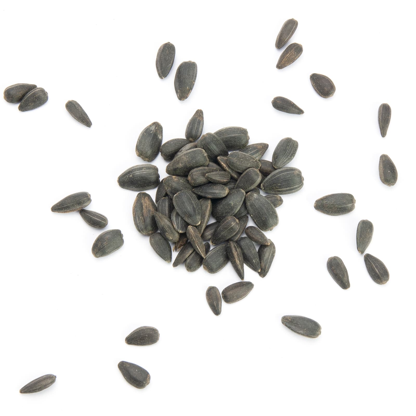 Schwarze Sonnenblumenkerne für Vögel